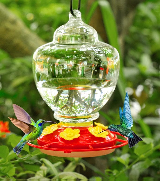 Abreuvoir oiseau à suspendre