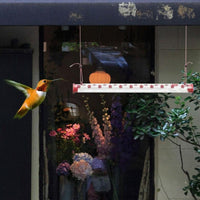 Thumbnail for Abreuvoir oiseaux extérieur