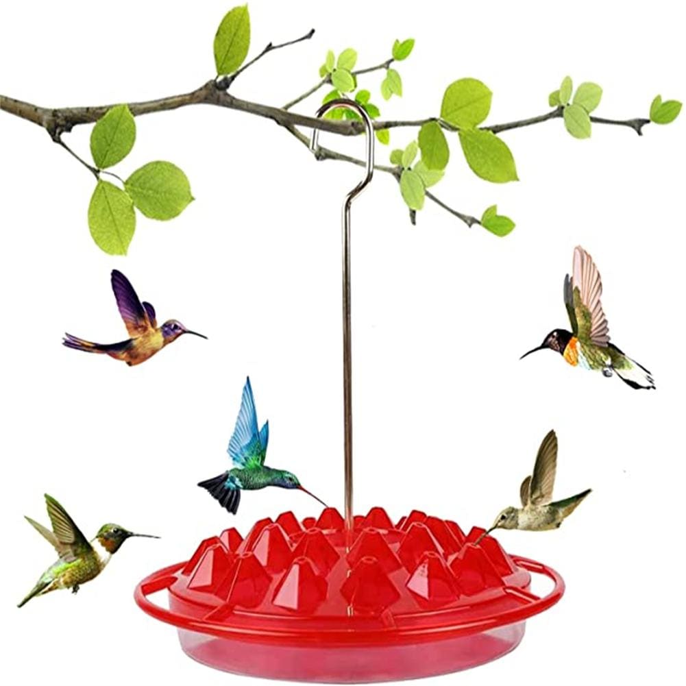 mangeoire colibri oiseau