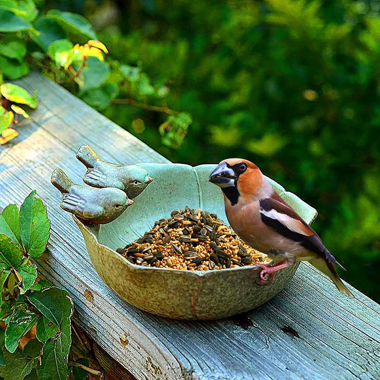 Abreuvoir oiseaux pour jardin