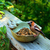 Thumbnail for Abreuvoir oiseaux pour jardin