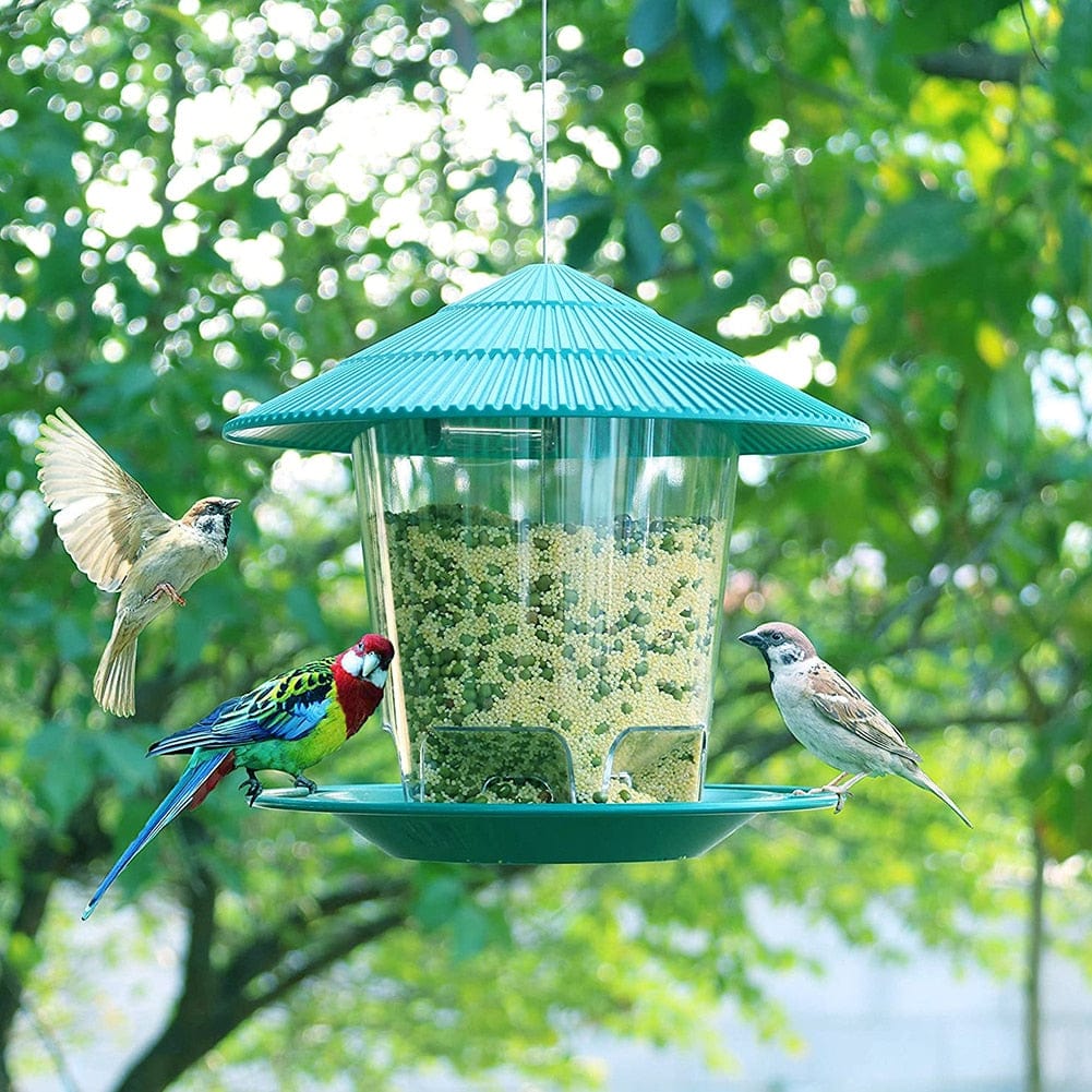 Mangeoire à oiseaux transparente en plastique balcon extérieur - vert