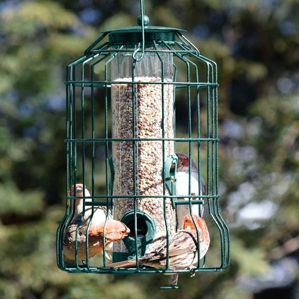 Mangeoire à oiseaux anti nuisible