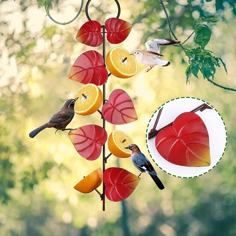 Mangeoire à oiseaux pour fruit