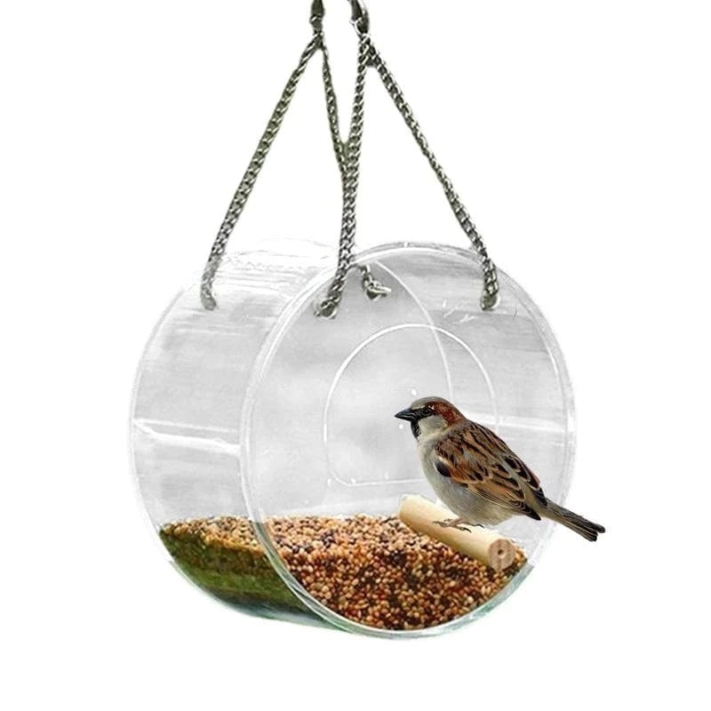 Mangeoire pour oiseaux transparente